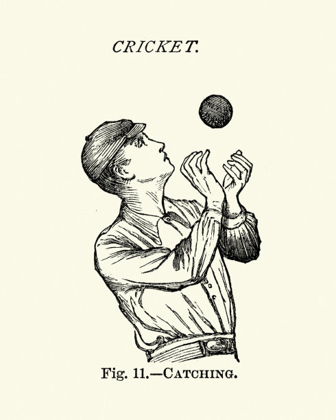 维多利亚板球手接球图片下载