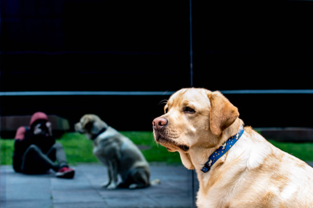 在同一张照片中拍摄和拍照图片下载
