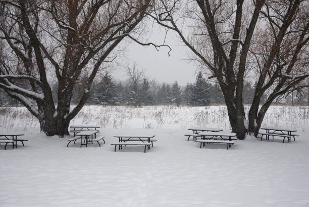 冬天的野餐桌图片下载
