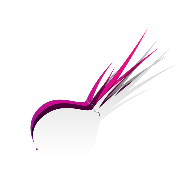 洋葱的迹象。沙拉成分。健康的蔬菜。向量。Detacha图片下载