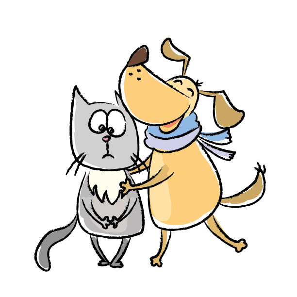 有趣的狗拥抱猫，孤立在白色的背景图片下载