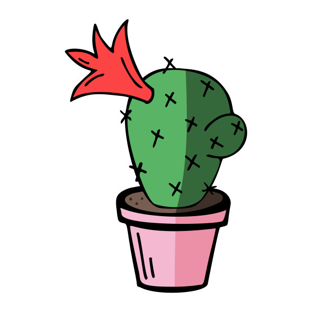 扁平的仙人掌在粉红色的花盆图片下载