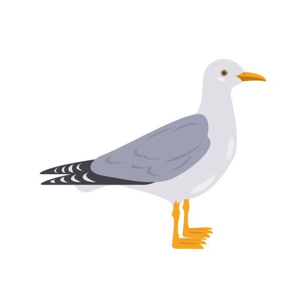 卡通海鸥图标上的白色背景。图片下载