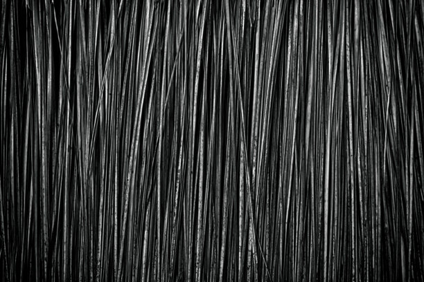 黑色纹理背景图片下载