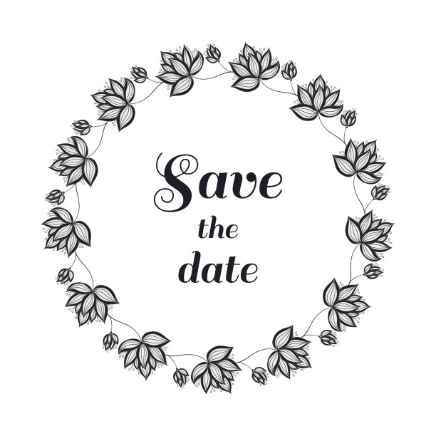 白色背景下的花朵特写图片下载