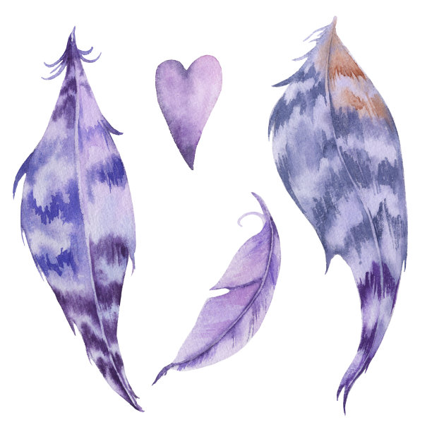 婚礼装饰。鸟的羽毛。孤立在白色背景上。素材图片