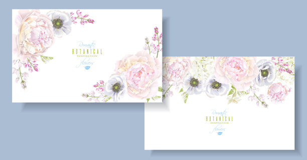 牡丹、银莲花横旗图片下载