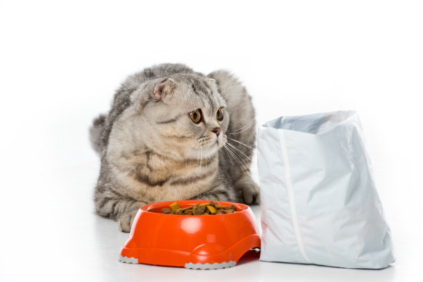 可爱的毛茸茸的猫躺在碗和猫粮旁边，白色背景素材图片