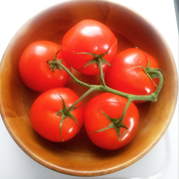 西红柿图片下载