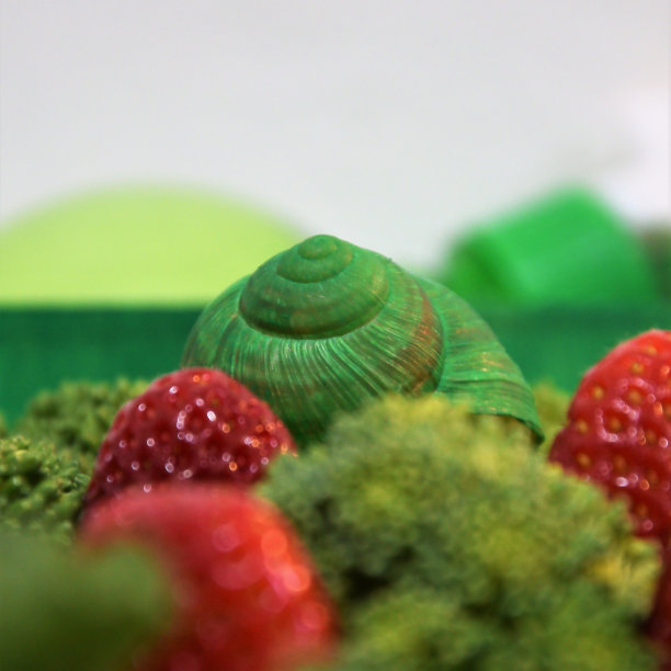 蜗牛绿，蔬菜和水果图片下载