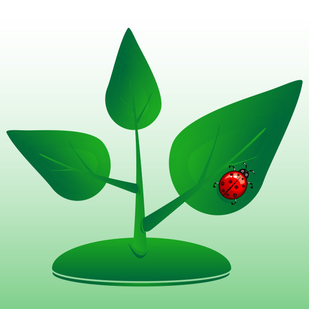 有瓢虫的植物芽。生活的象征。图片下载