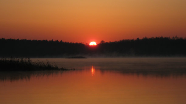 天鹅湖上的黎明图片下载
