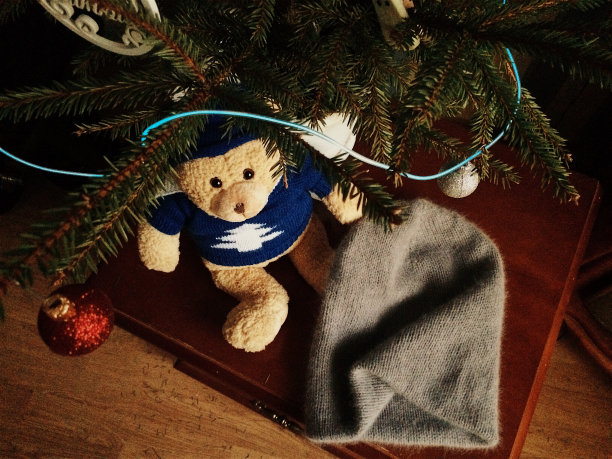 冬天的帽子在树下图片下载