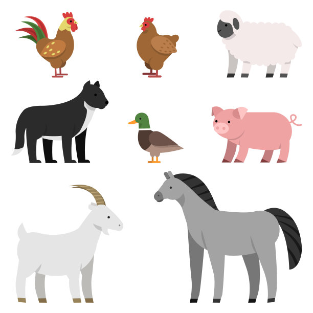 农场动物的平面插图素材图片