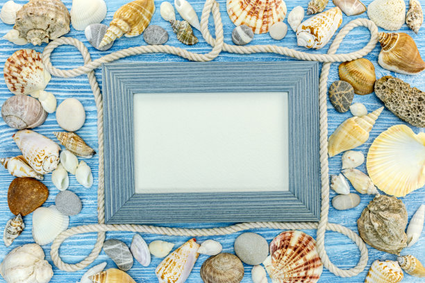 以贝壳、石头、海绳为蓝底的框饰图片下载