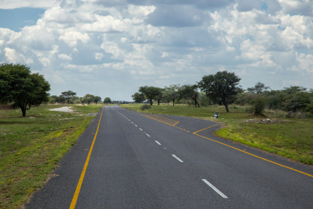 博茨瓦纳Ghanzi地区的夏季景观图片下载
