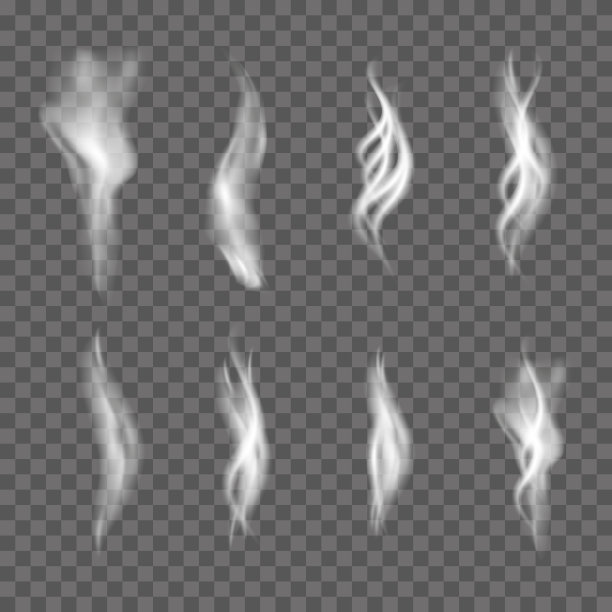 真实的白色烟雾收集透明的背景。向量。图片下载