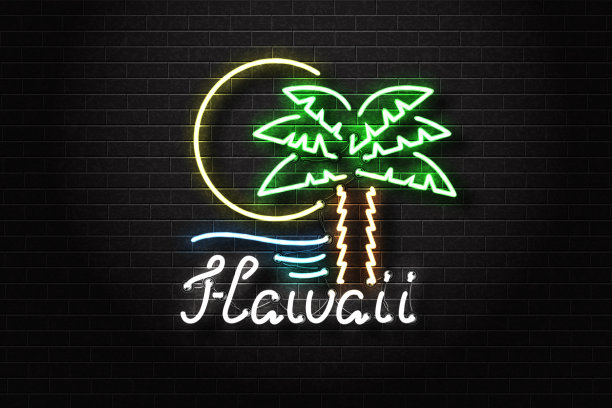 矢量现实孤立的夏威夷霓虹灯与棕榈和太阳装饰和覆盖在墙壁背景。海滩，冲浪和夏天的概念。图片下载