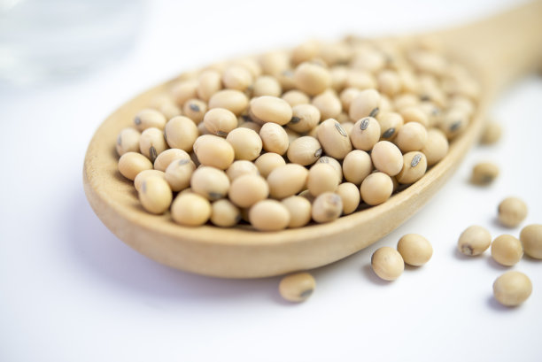勺子里的大豆图片下载