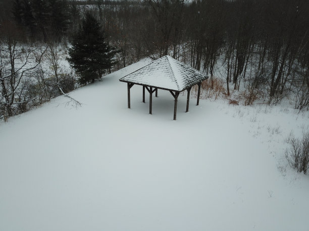 林中孤独的避难所图片下载