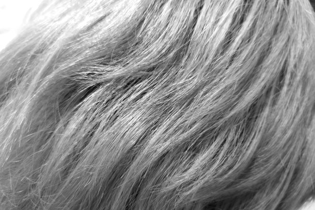 近距离观察人类长长的灰色头发图片下载