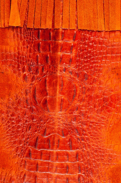 鳄鱼皮图片下载