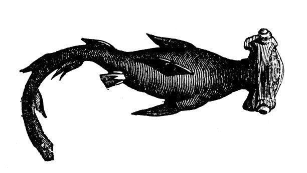 动物仿古雕刻插图:平衡鱼图片下载