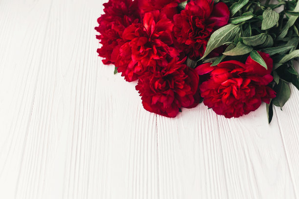 美丽的红色牡丹花束在白色木制的乡村背景。带有文本空间的贺卡。前视图。妇女节快乐或者妈妈们。情人节。现代花卉图片图片下载