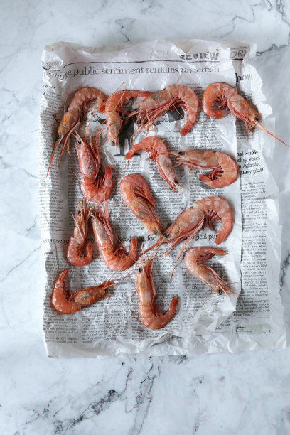 白底虾图片下载