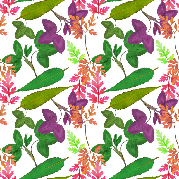 草本植物的叶子。花型纹理无缝。花背景，照片拼贴图片下载