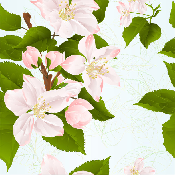 无缝纹理苹果树枝与花和芽春季背景矢量插图编辑图片下载