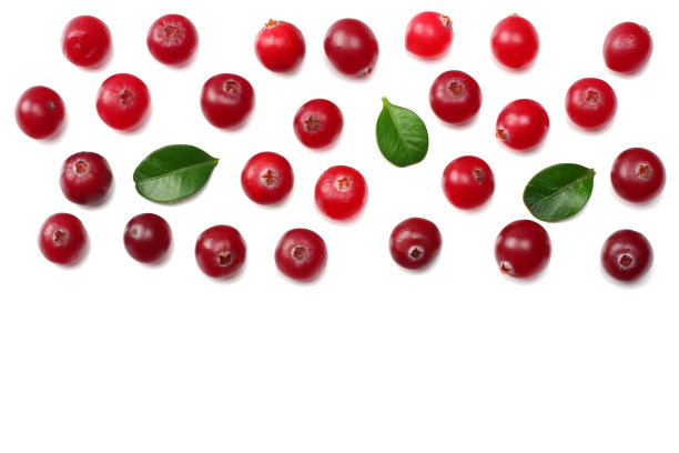 蔓越莓孤立白色。剪切路径。全景深。俯视图图片下载
