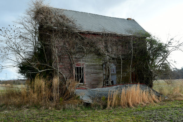 废弃的房子图片下载
