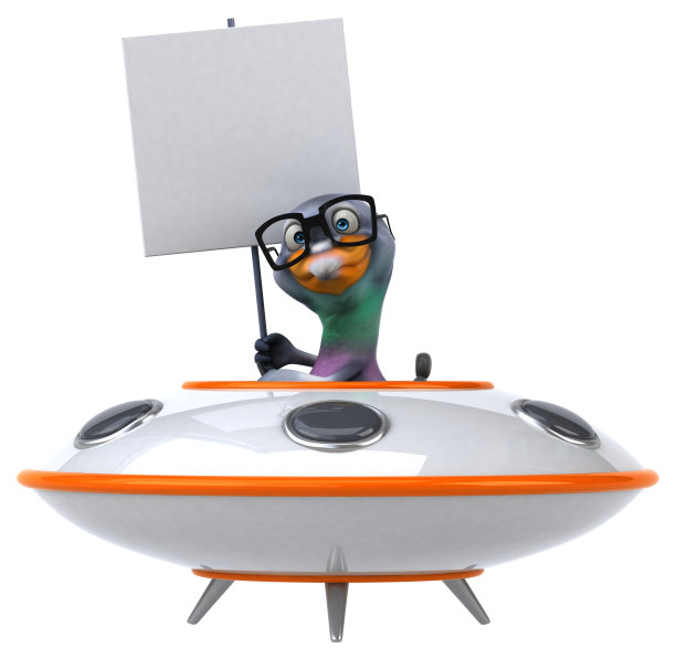 有趣的鸽子图片下载