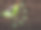 生物科技图片素材ID：316929972