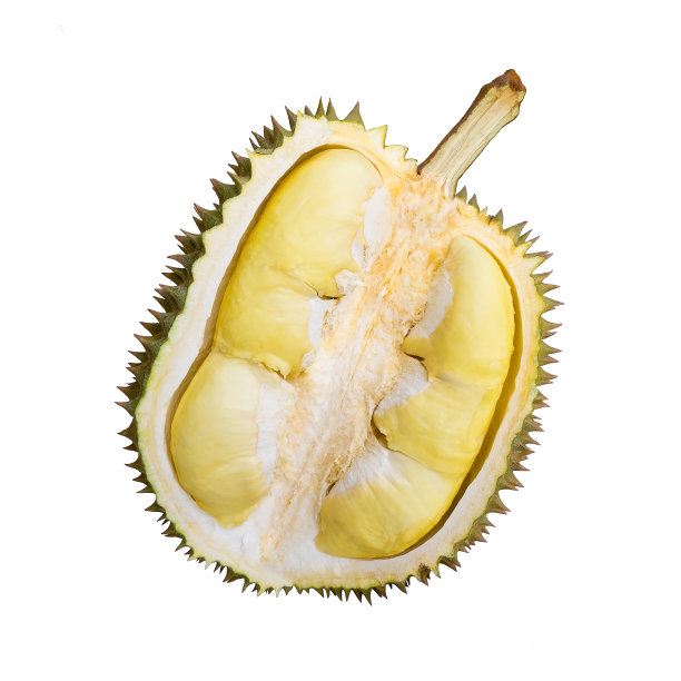 榴莲孤立在白色背景上图片下载