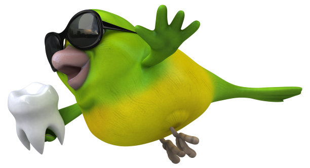 有趣的绿色鸟- 3D插图图片下载