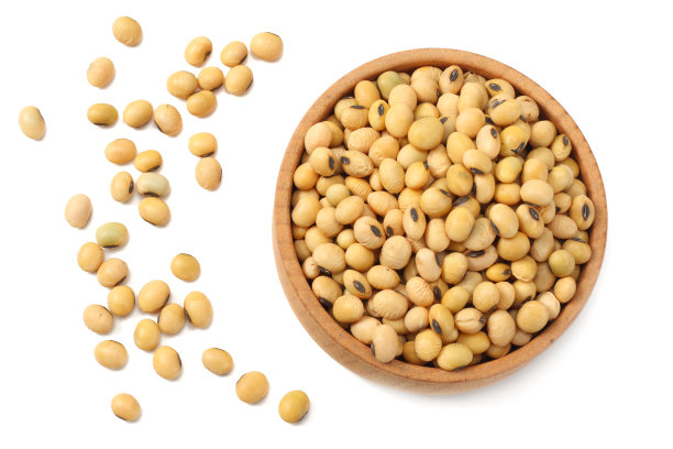 大豆图片素材ID：316941882