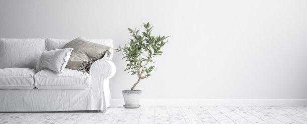 时髦的室内背景，斯堪的纳维亚风格图片下载