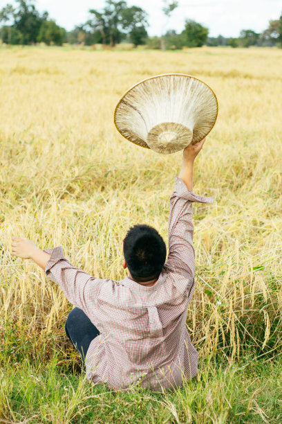 棕色皮肤的农民和他的稻田图片下载