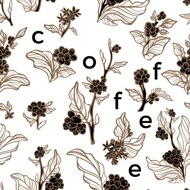 无缝模式。咖啡枝叶和豆图片下载