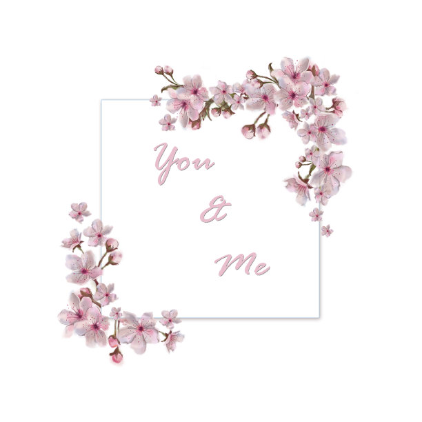 粉红色花方形模板与文本复制空间。图片下载