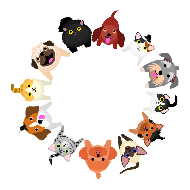 小狗和小猫坐着看圈图片下载