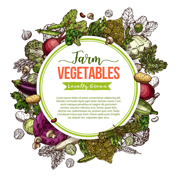 蔬菜、蘑菇、豆类速写画框海报素材图片