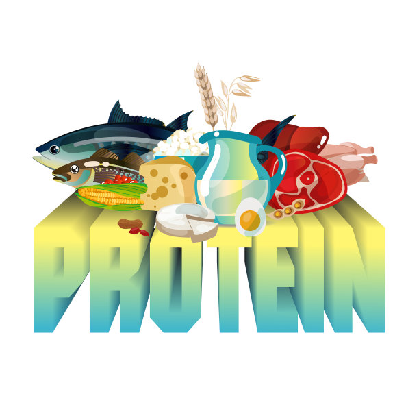 蛋白质营养图片下载
