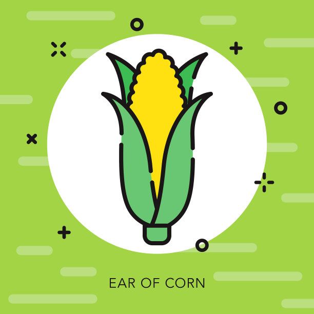 玉米开放轮廓园艺图标图片下载