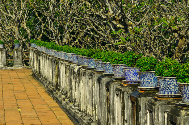 老式陶瓷种植排成行图片下载