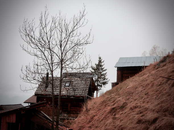 雾蒙蒙的天图片下载