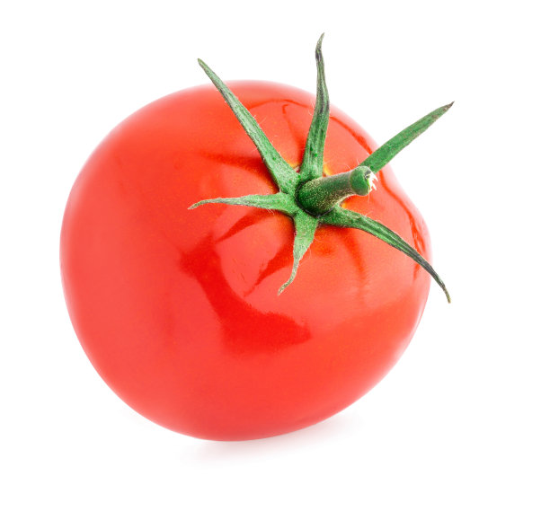 番茄孤立在白色上，有修剪路径图片下载