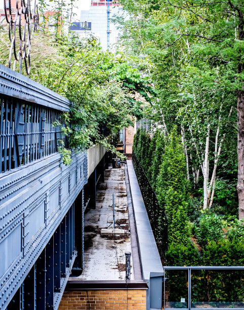 高架的图片下载